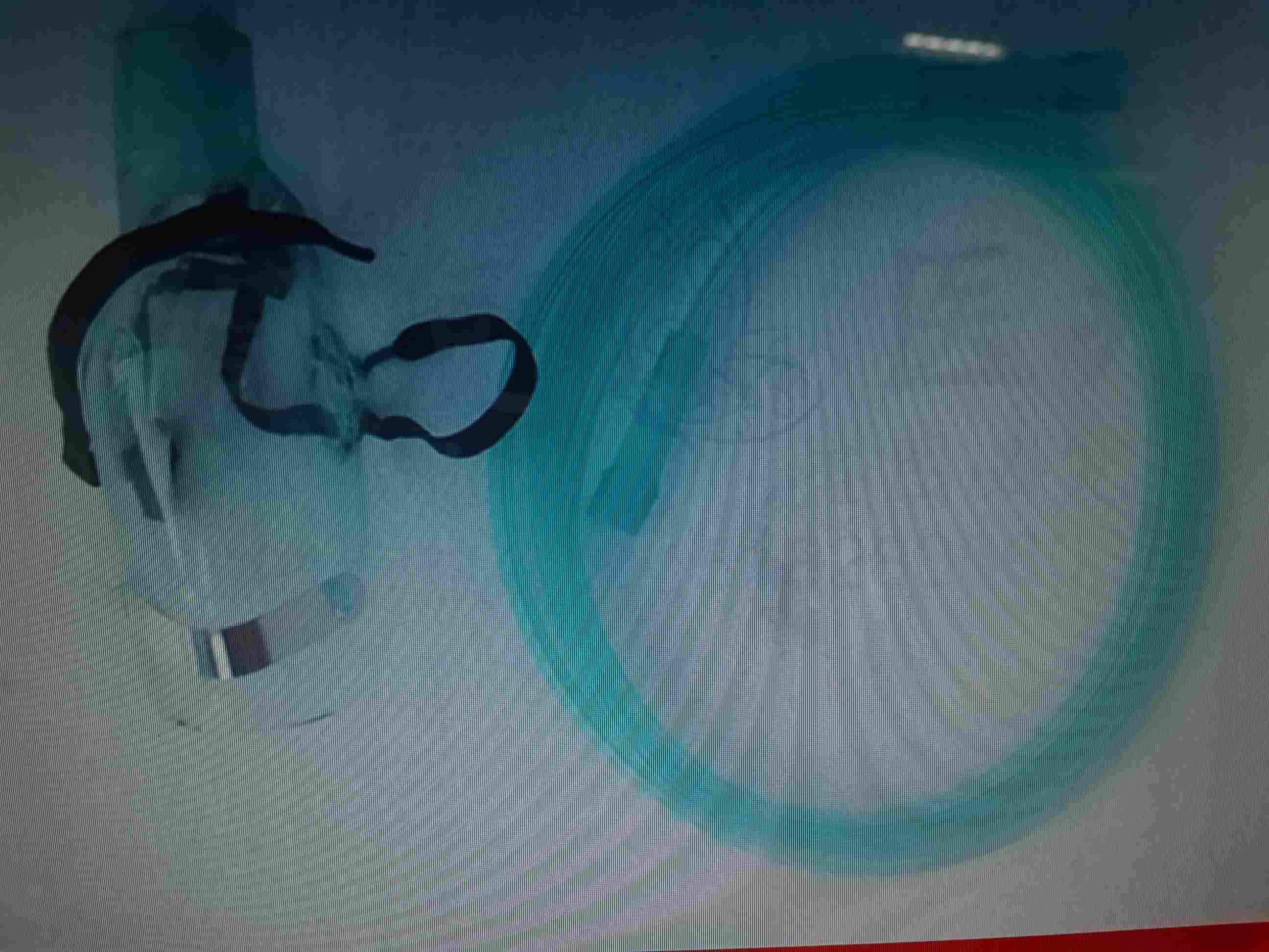 采购一起医院用的输氧面罩