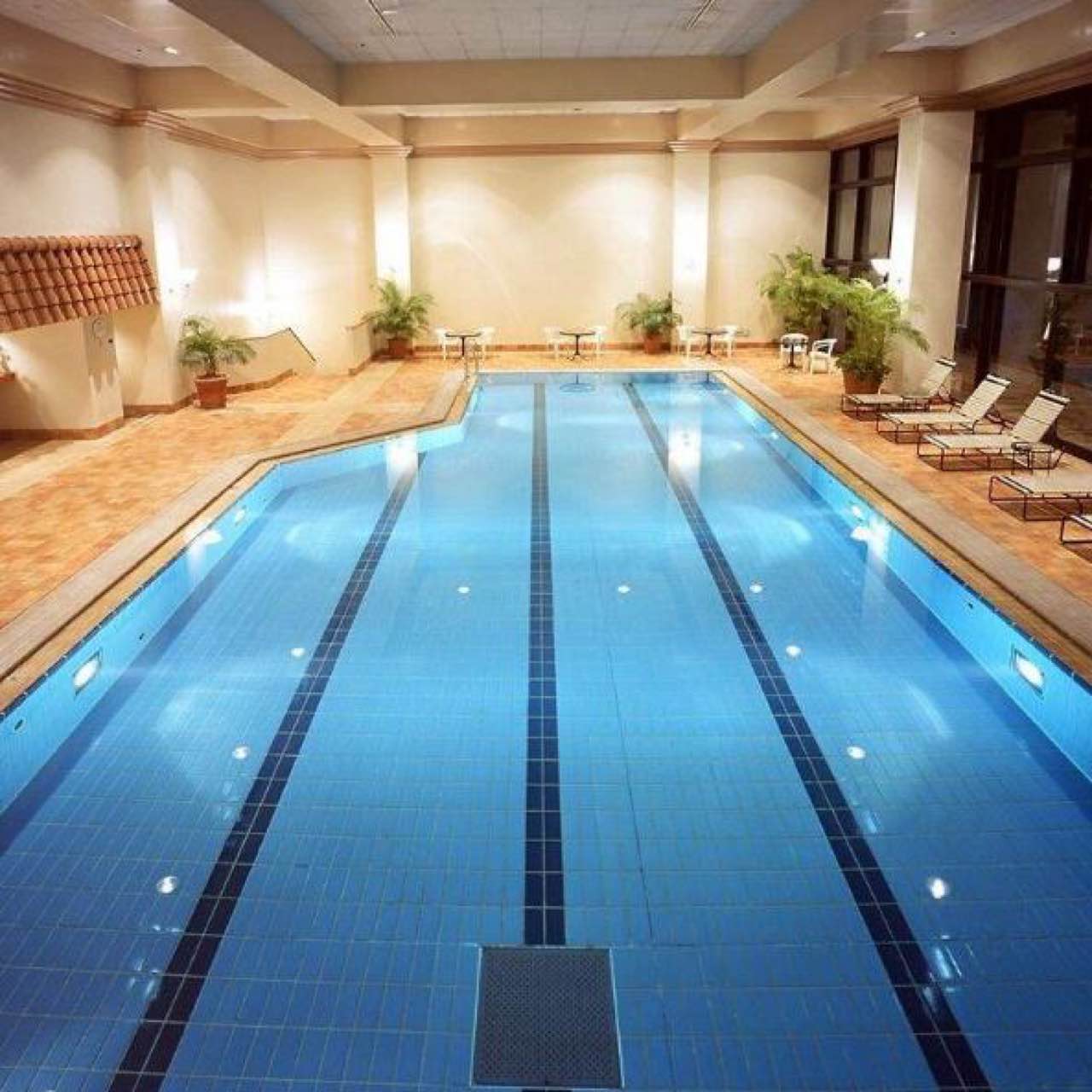 室内恒温游泳池室外游泳池提供洗浴教练服务