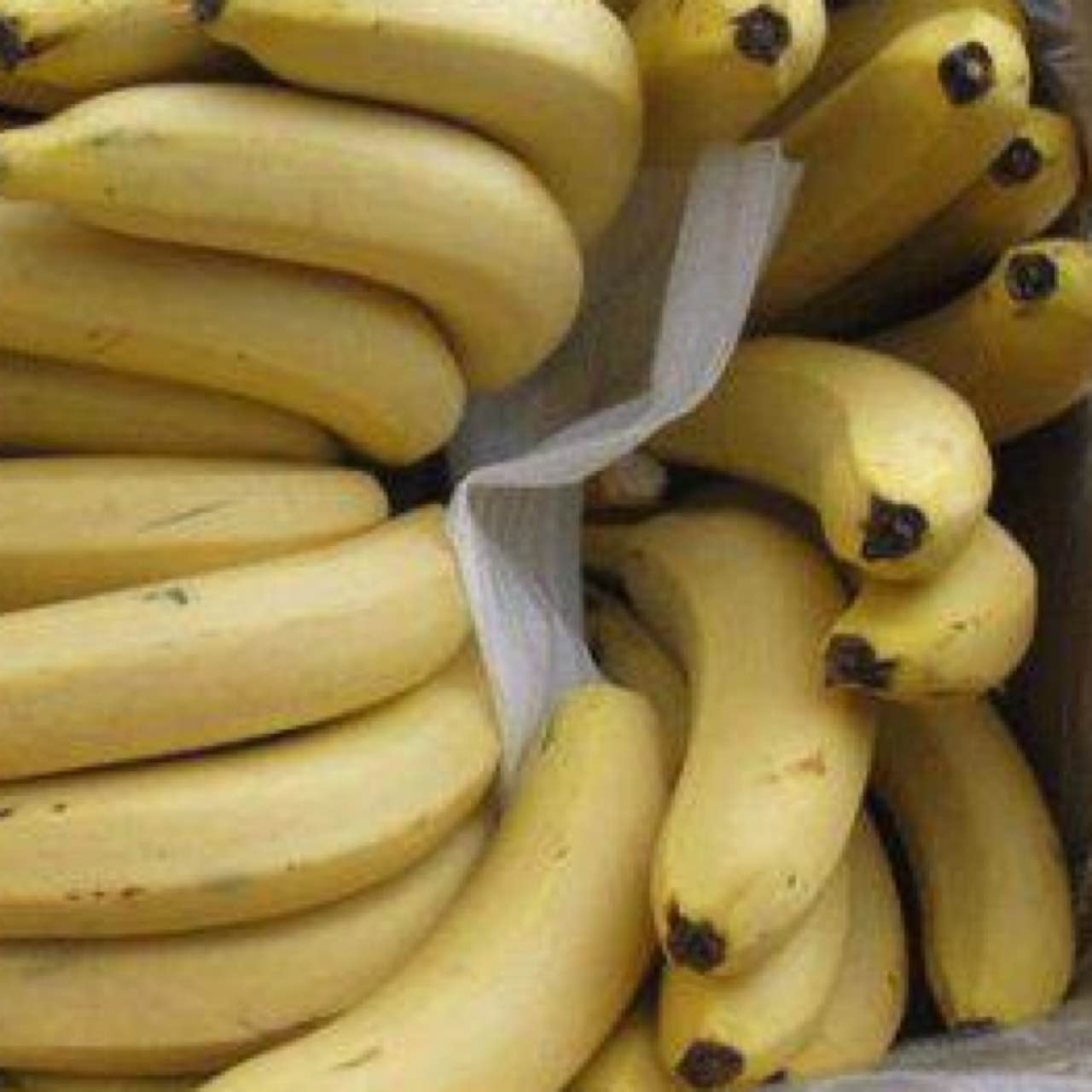 水口香蕉